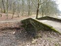 2013-04-04 12-24-41 Bois de Meudon Matin YLe